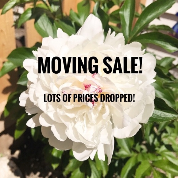 Welcome 🖤 - Picture 4 of 6